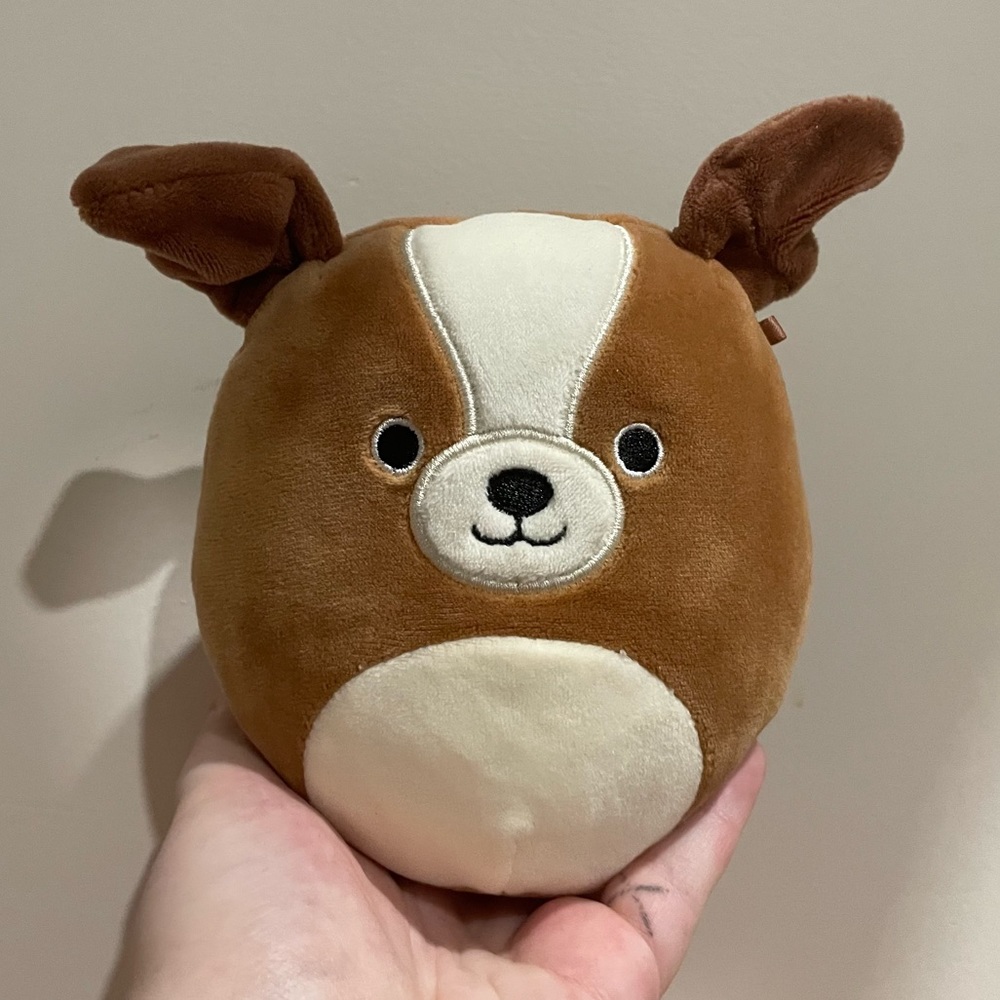 Bernie the St. Bernard Dog 5" Squishmallow.